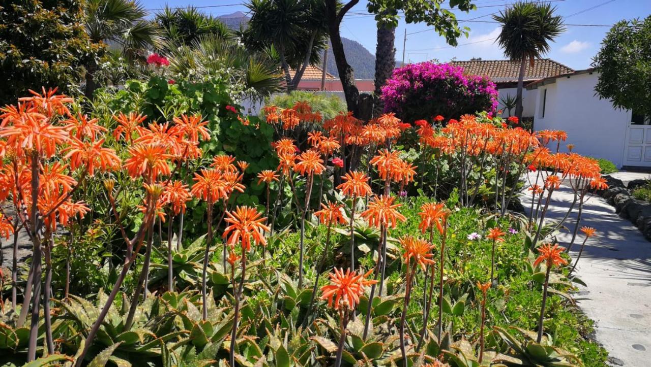 אל פאסו Finca Primavera מראה חיצוני תמונה