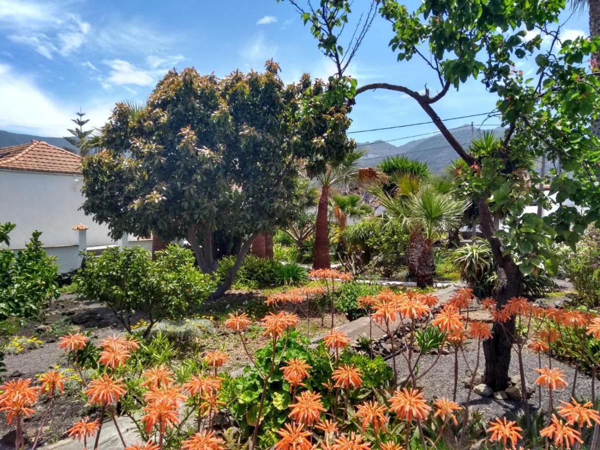 אל פאסו Finca Primavera מראה חיצוני תמונה